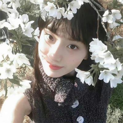 部长做了一个梦封面